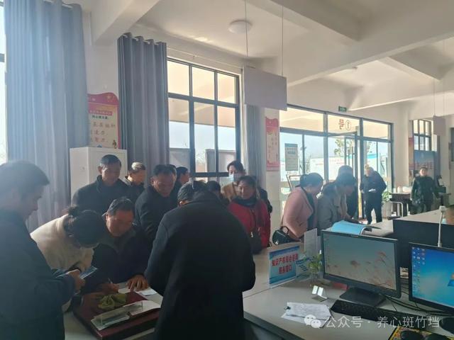 公安县斑竹垱镇便民服务中心:"停网不停办"