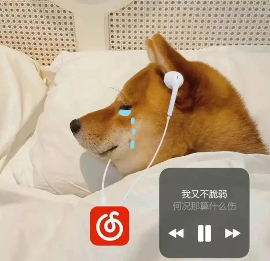 搞笑表情包:诠释悲伤与妥协的多种情感
