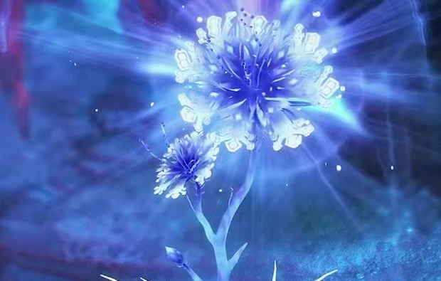 斗罗大陆:你知道蓝银皇是什么水准吗?在植物中这三种远超蓝银皇