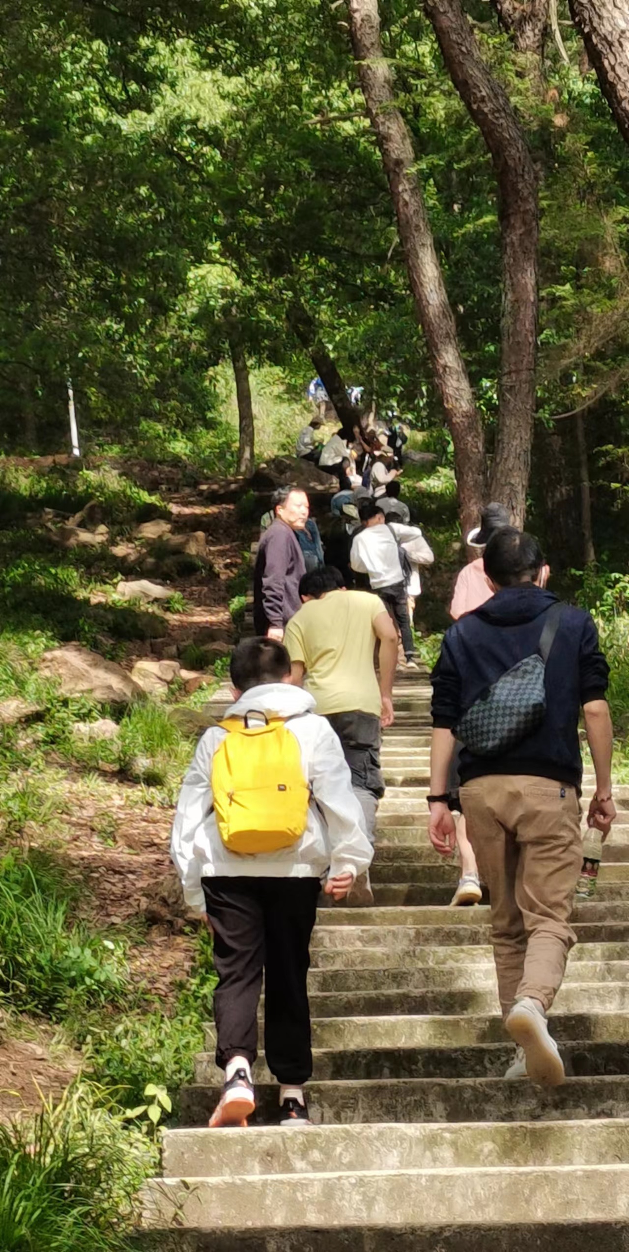 江夏爬山图片