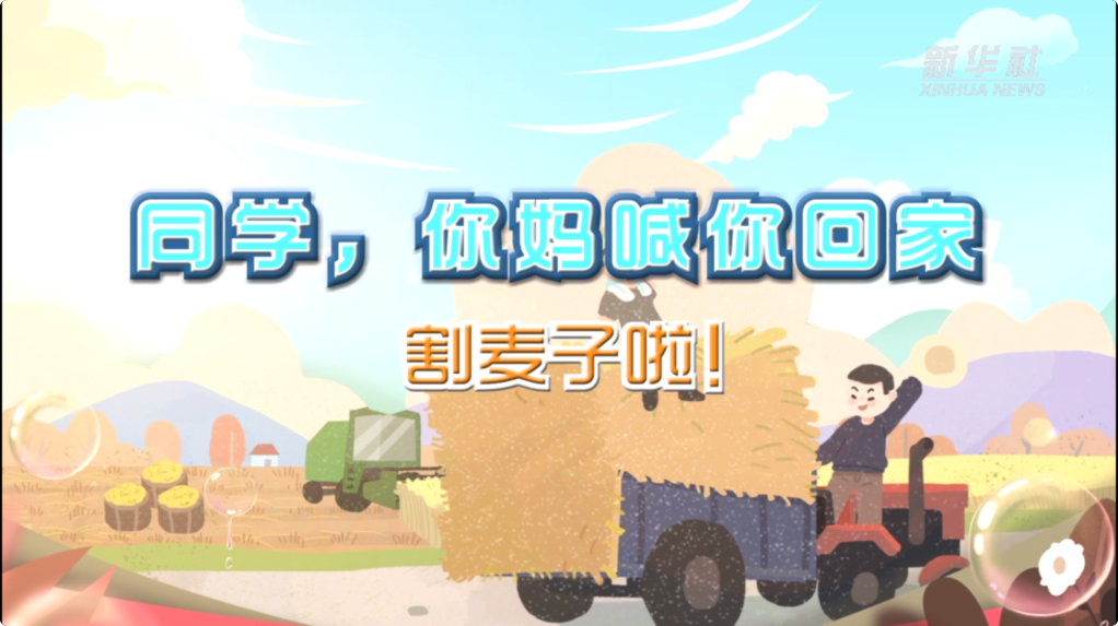 夏收ing丨"同学,你妈喊你回家割麦子啦!