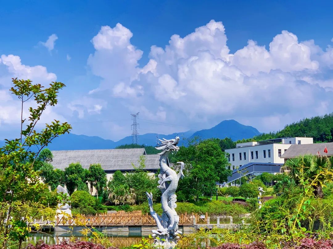 嗨go六月·北川站① | 北川维斯特农业休闲旅游区惊喜福利来啦!