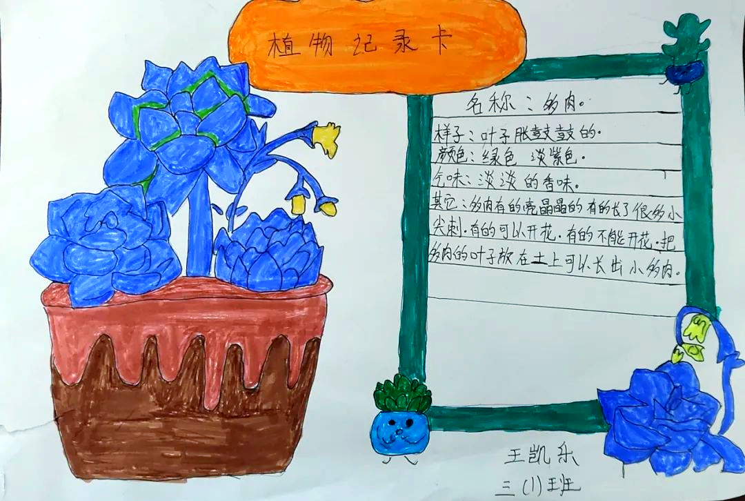 观察身边的植物三年级(观察身边的植物三年级作文)