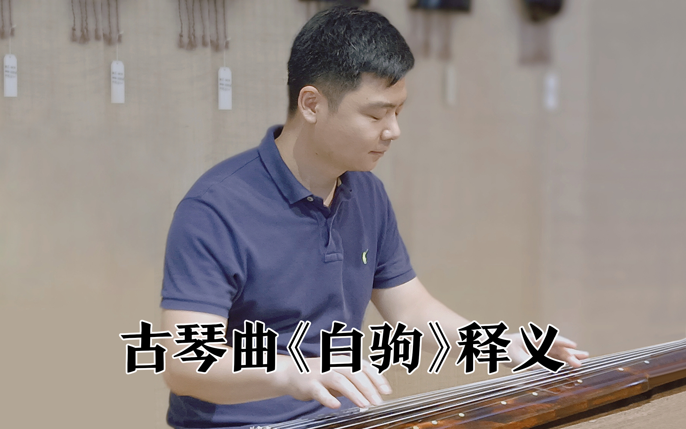 白驹(古琴曲1种释义—刘晓睿—据《图说中国古琴丛书》