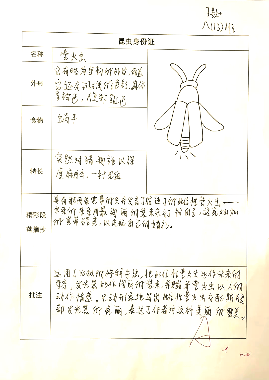 《昆虫记》特色作业展示:制作昆虫名片,探寻生命奥秘