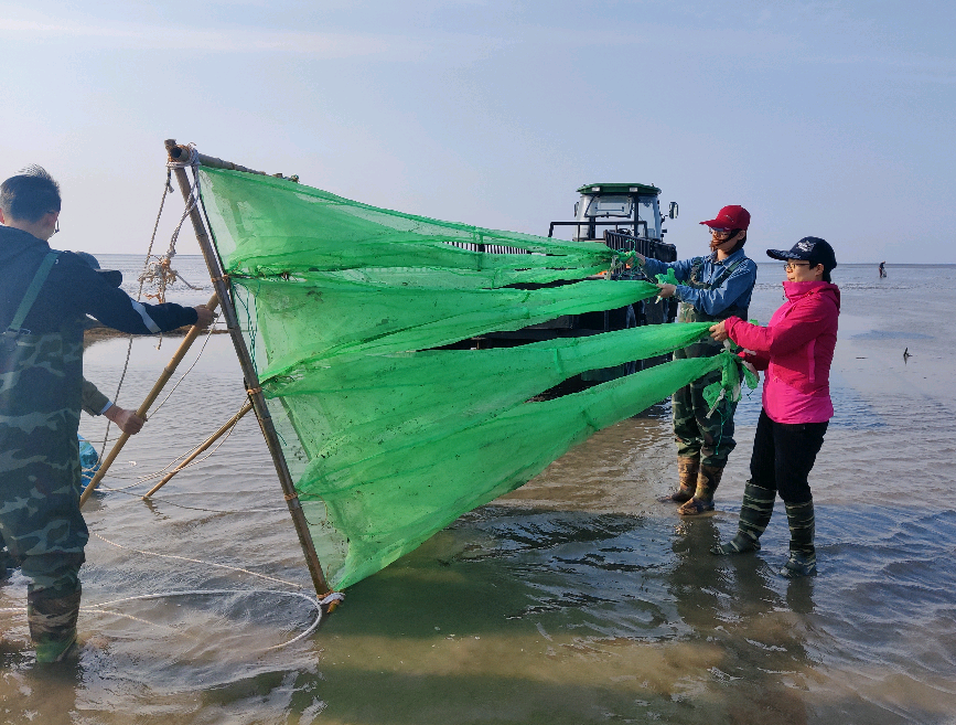 百名女科学家寻访18熊瑛十年攻克难题迎来毛虾丰收