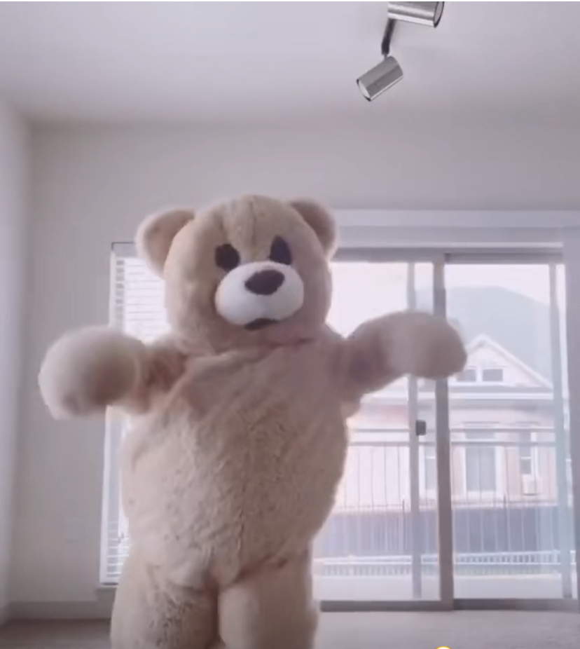 那只霸屏了我表情包的跳舞熊