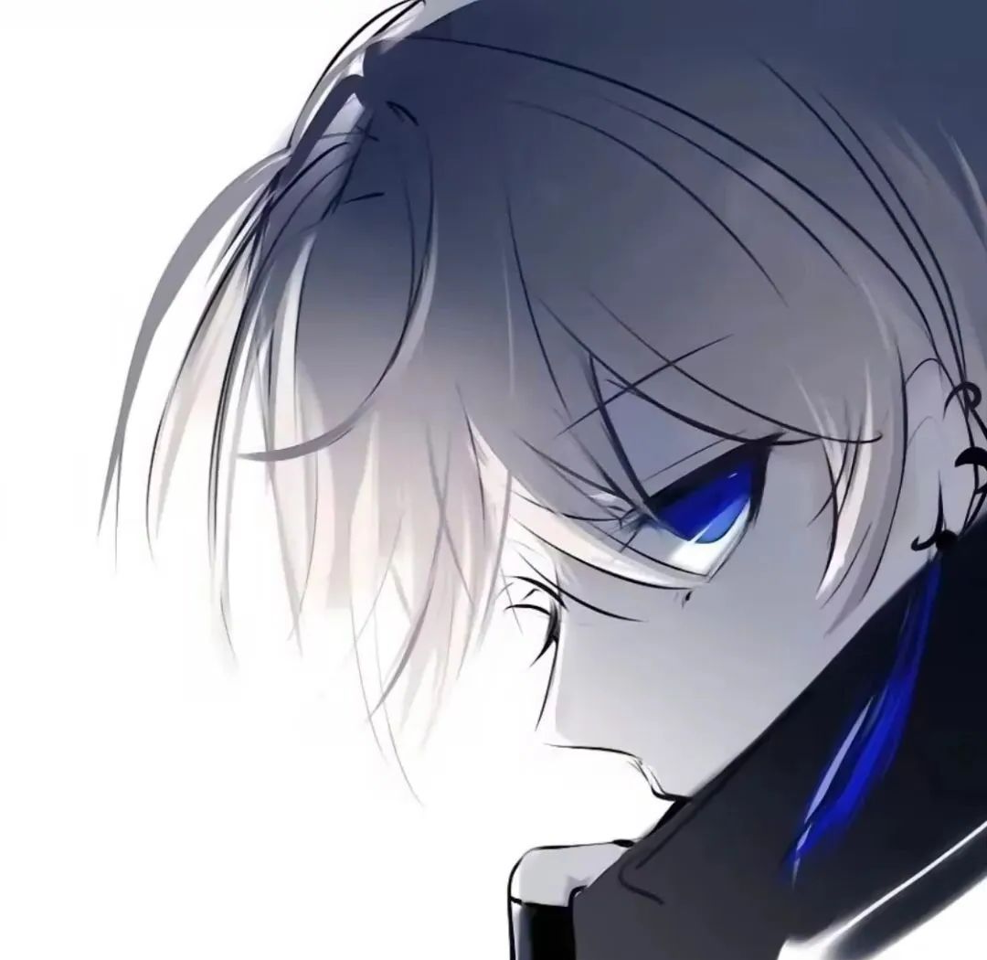 众多动漫男头图片,展现多样云深隐白鹤主题