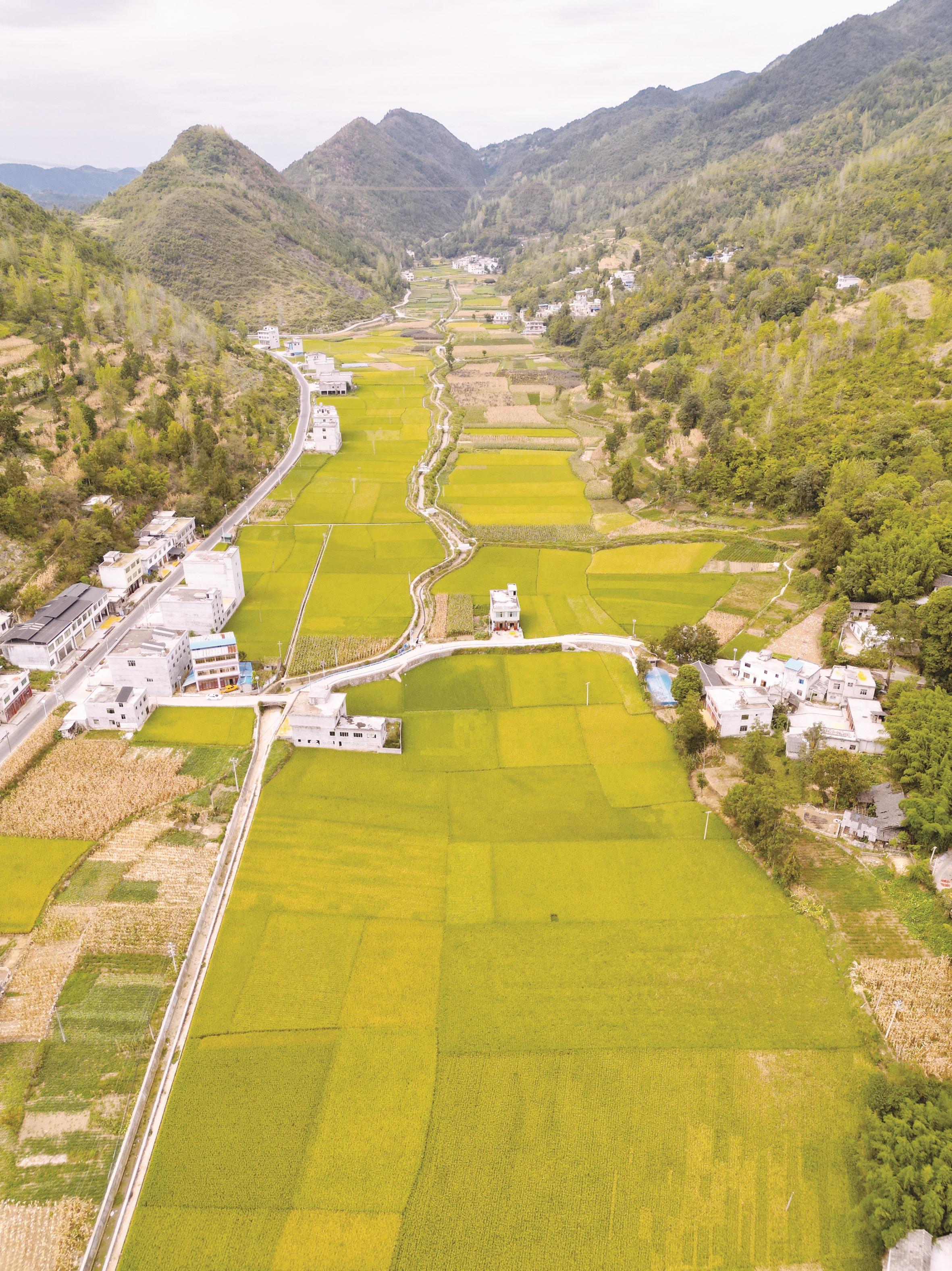 农村田园风光 真实图片