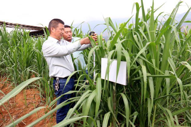 王德贵:倾情科技推广 服务畜牧发展