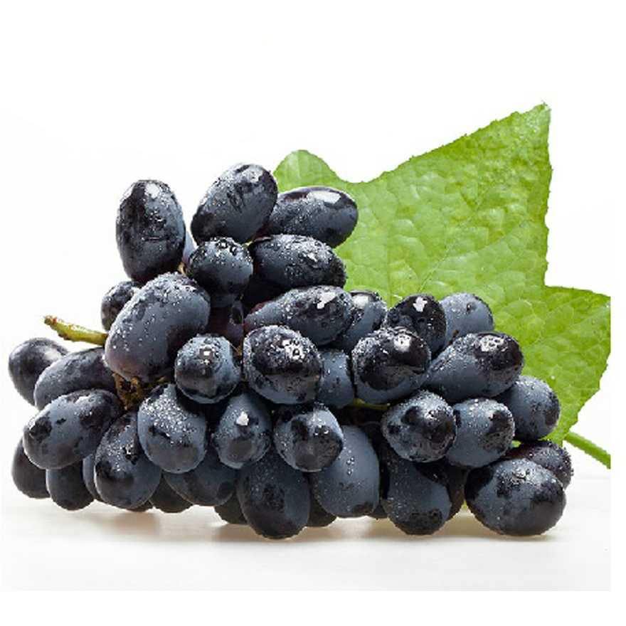 黑加仑 - 热门商品专区