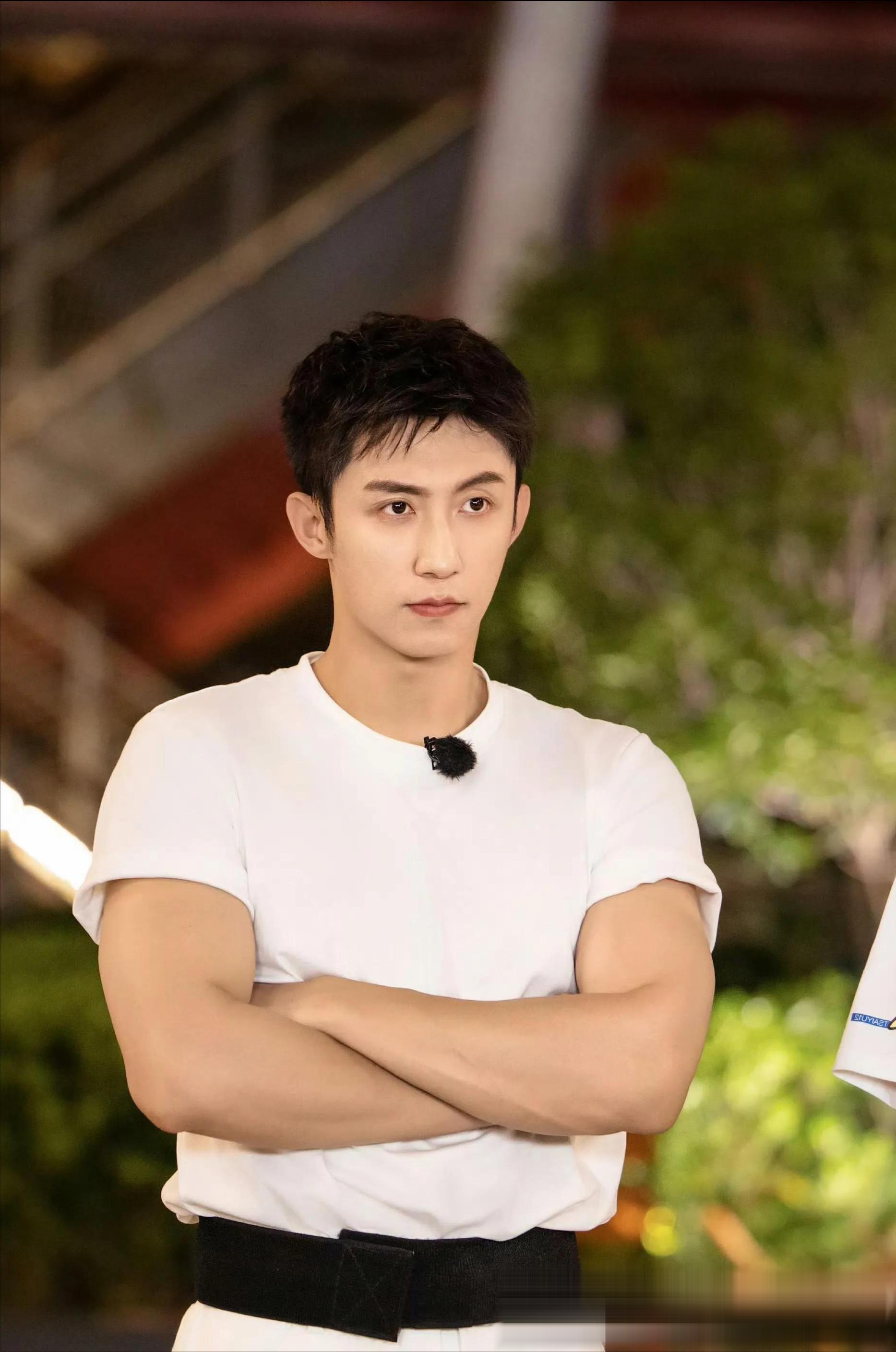 最帅男艺人出炉,痞帅登顶,林更新第8彭冠英第7于适第4肖战第3