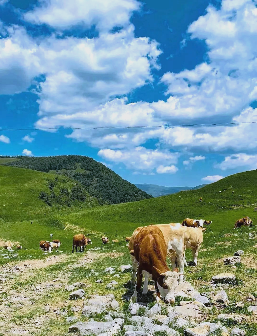 沁源花坡:体验草原风光,感受自然魅力