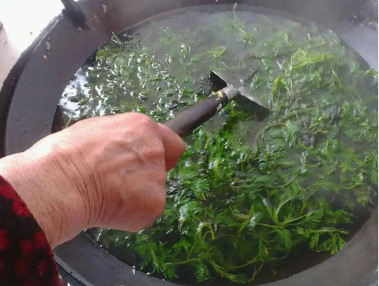 4月,用艾叶煮水洗头,老中医:不出一个月3大好处就会找上门!