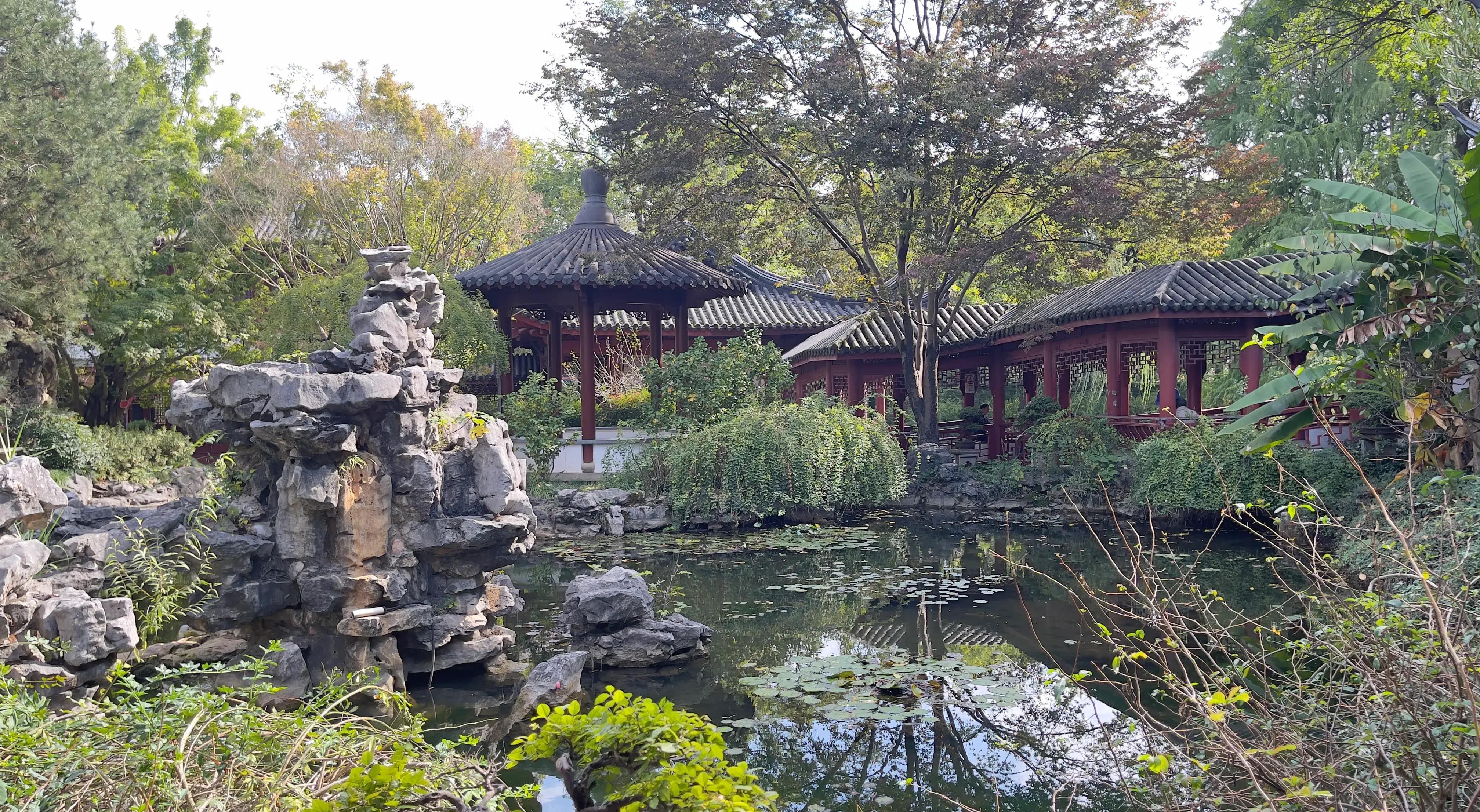 探访奉贤:古华园与清溪老街一日游