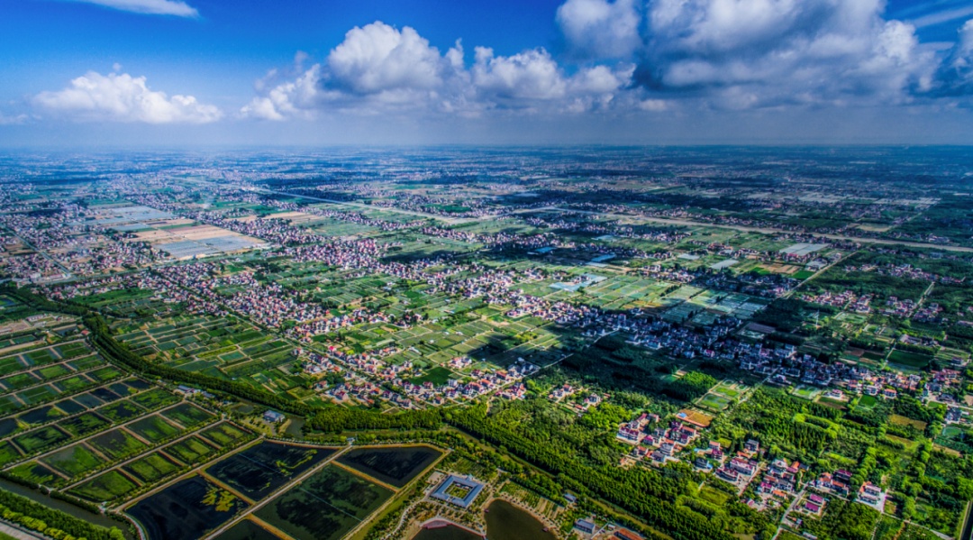 漫长的季节里,反复爱上陈家镇