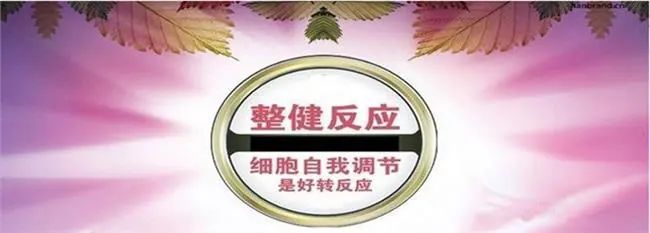 专家名录:好转反应与八大排毒效果