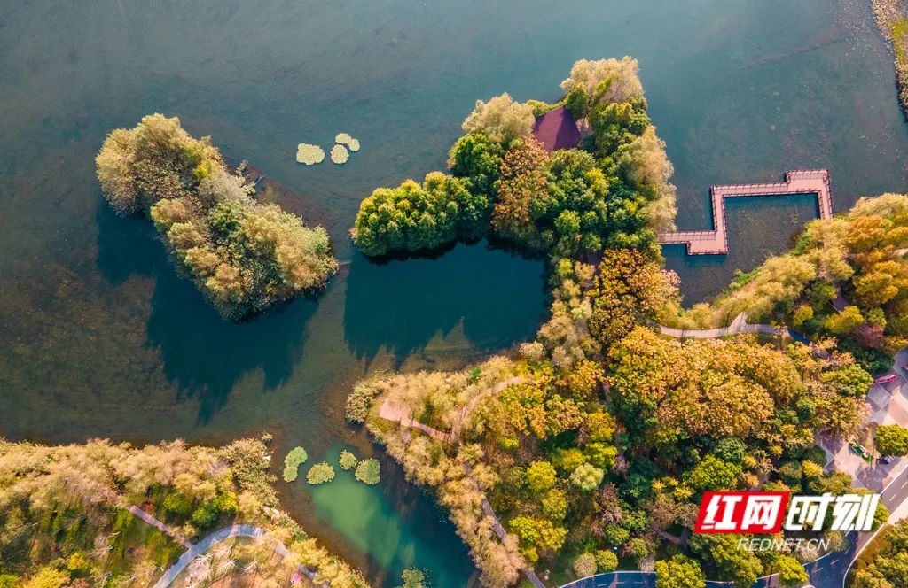 多彩洋湖醉美秋色