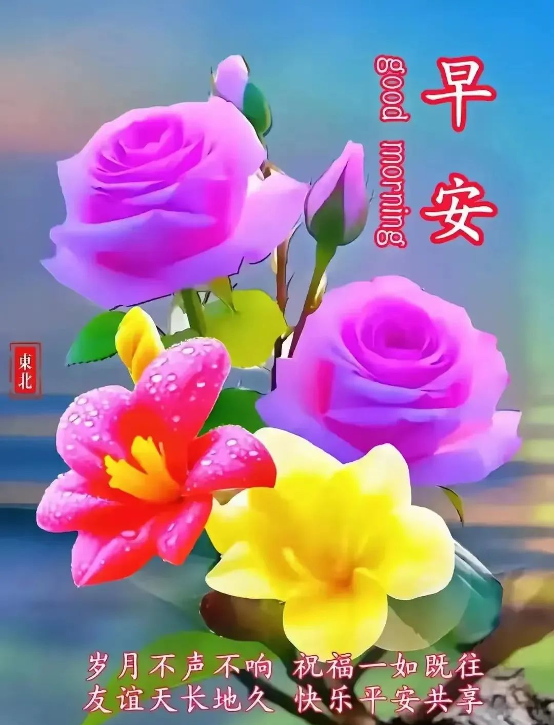 多款鲜花早安温馨图片带字问候祝福语,美观的早上好问候语表情包