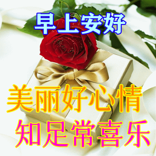 朋友,愿你早安快乐!早安吉祥!