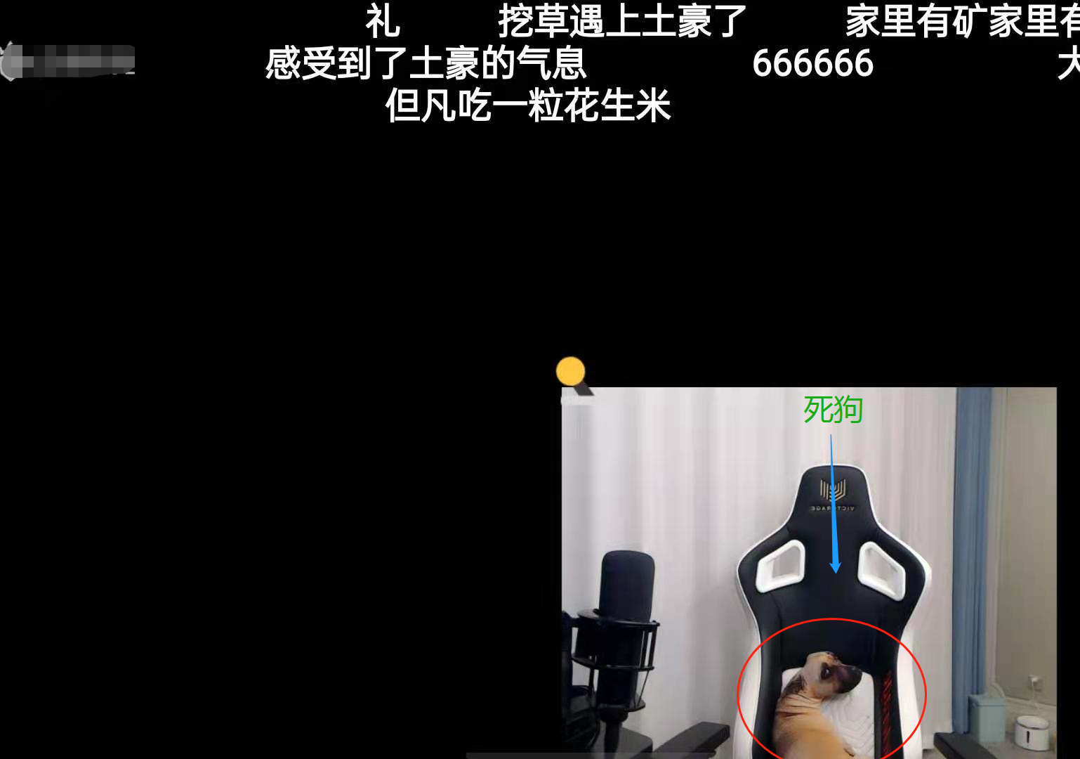 "游戏玩得好,爱情来得早"双人成行能否帮助死狗沫子变得暧昧?