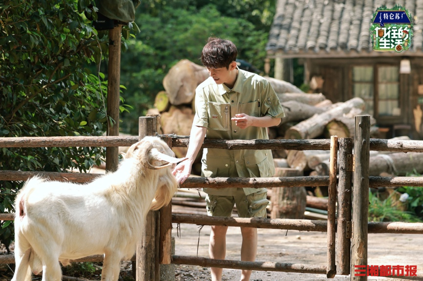 王勉王俊凱化身全能多面手,《嚮往的生活》生活系少年魅力十足