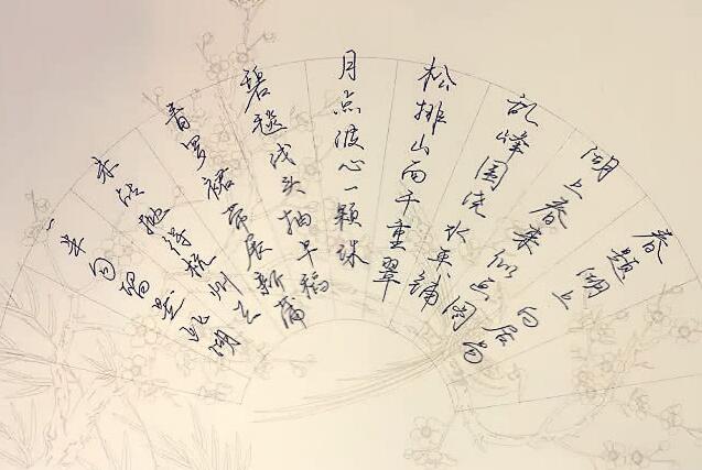 清华大学武亦姝写一手漂亮书法,笔法飘逸字字惊艳!水平入门了!