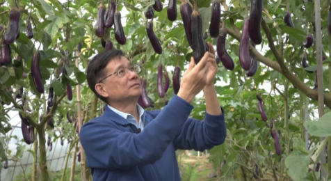 叶志彪:40载追梦不止 用现代农业科技造福社会