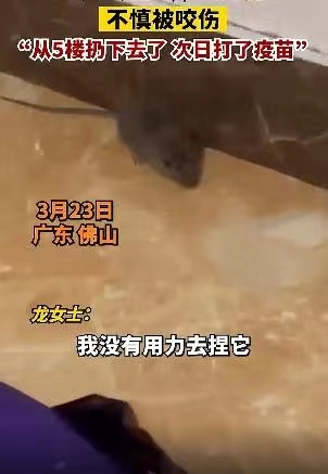 女子徒手抓老鼠,被老鼠反咬;打疫苗花费千元
