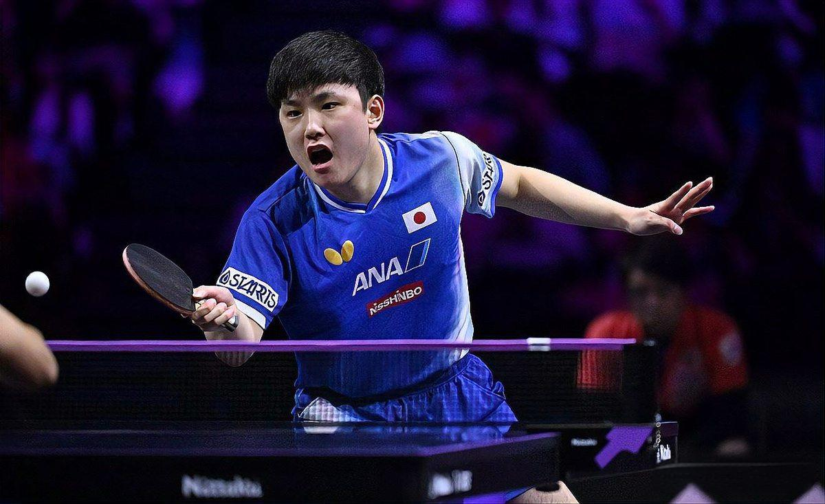 张本智和日本乒乓球选手激烈比赛瞬间