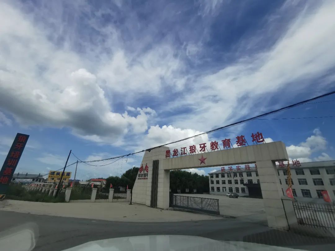 哈尔滨新区十家研学基地看过来↘