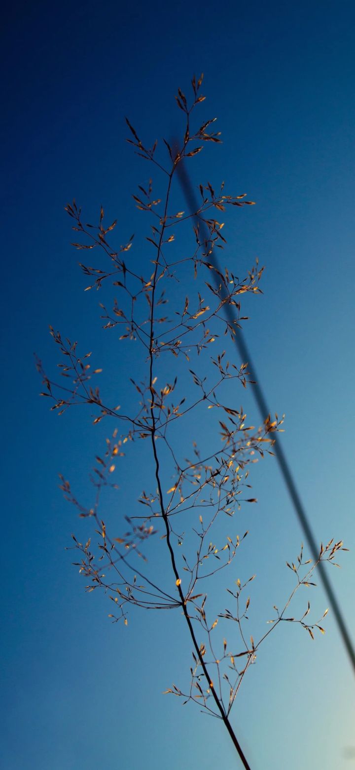 iphone高清全屏文艺壁纸