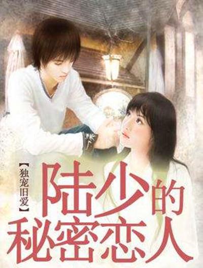 书荒,推荐一款私藏读物/独宠旧爱·陆少的秘密恋人
