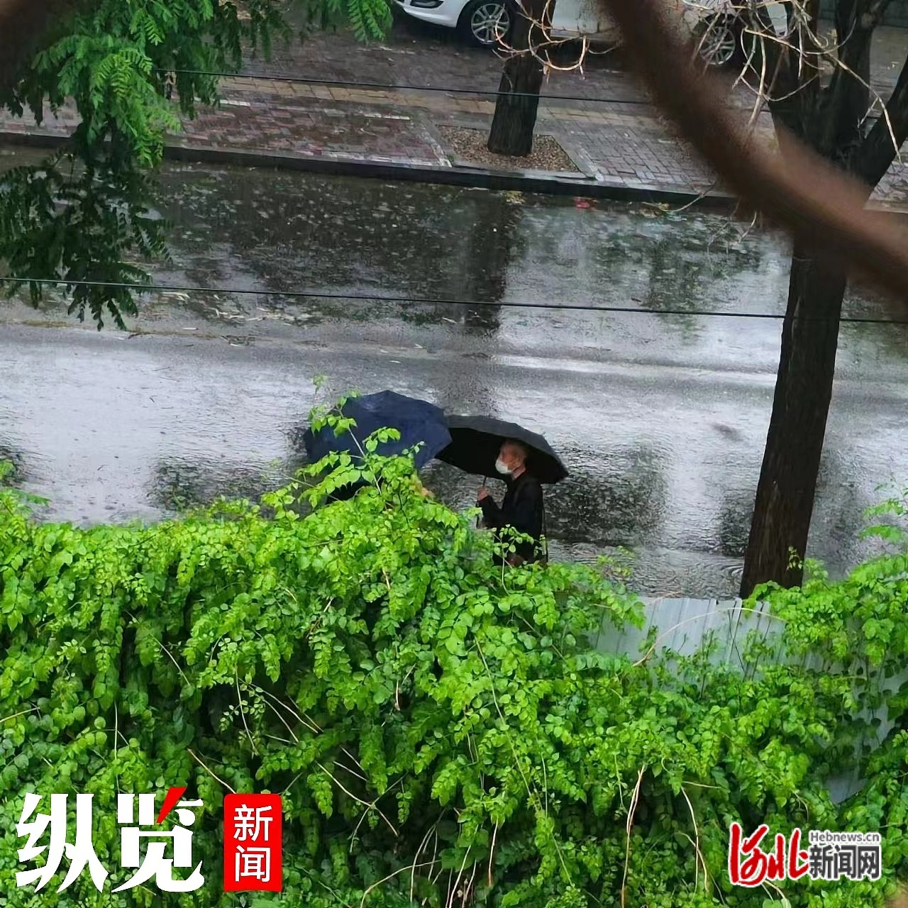 淋雨真实图片