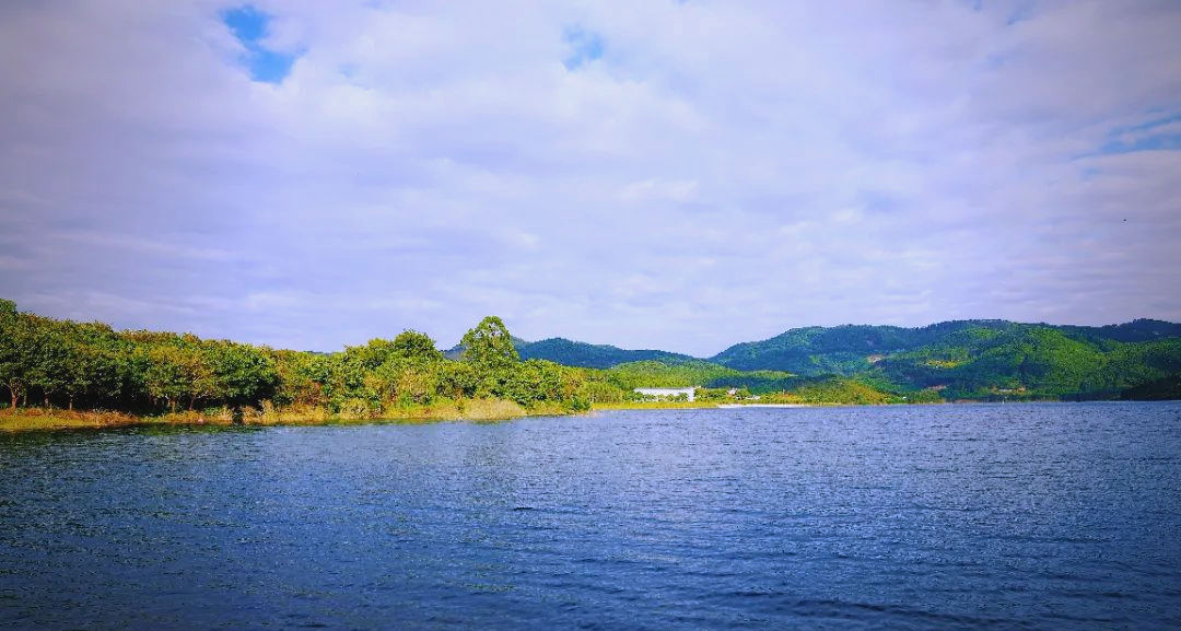 漳浦县探秘:眉力水库与白鹭森林公园的天然美景