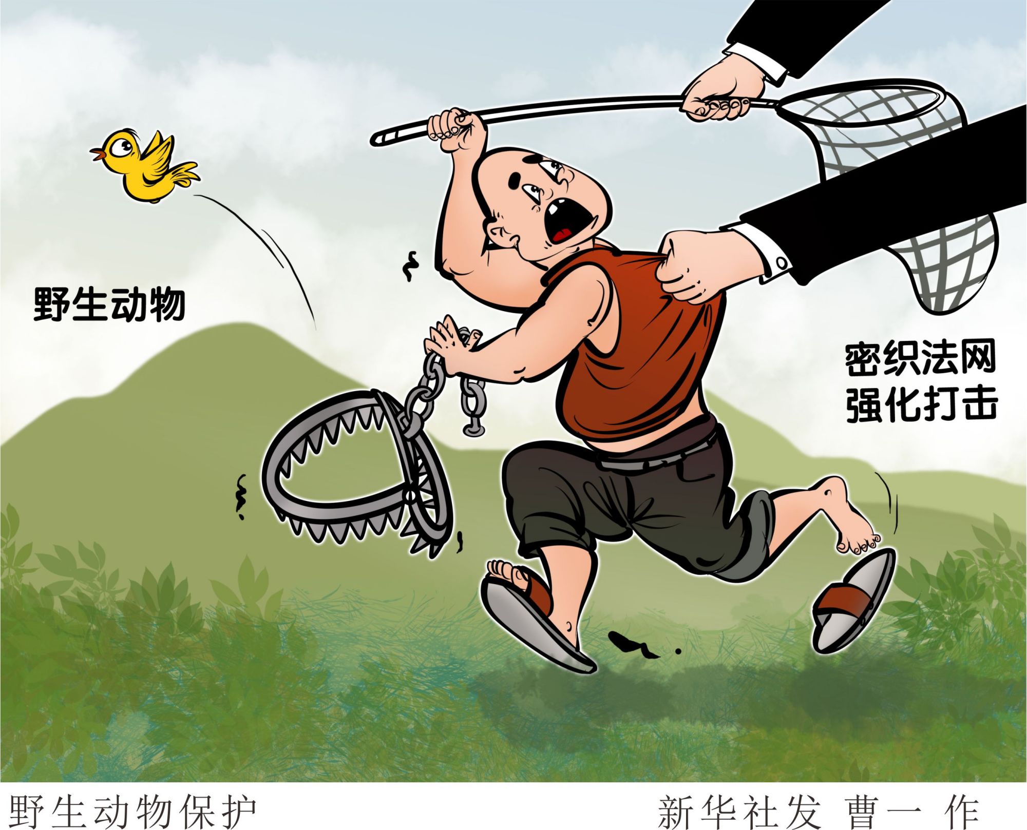 (图表·漫画)「新华调查·聚焦野生动物保护」野生动物保护
