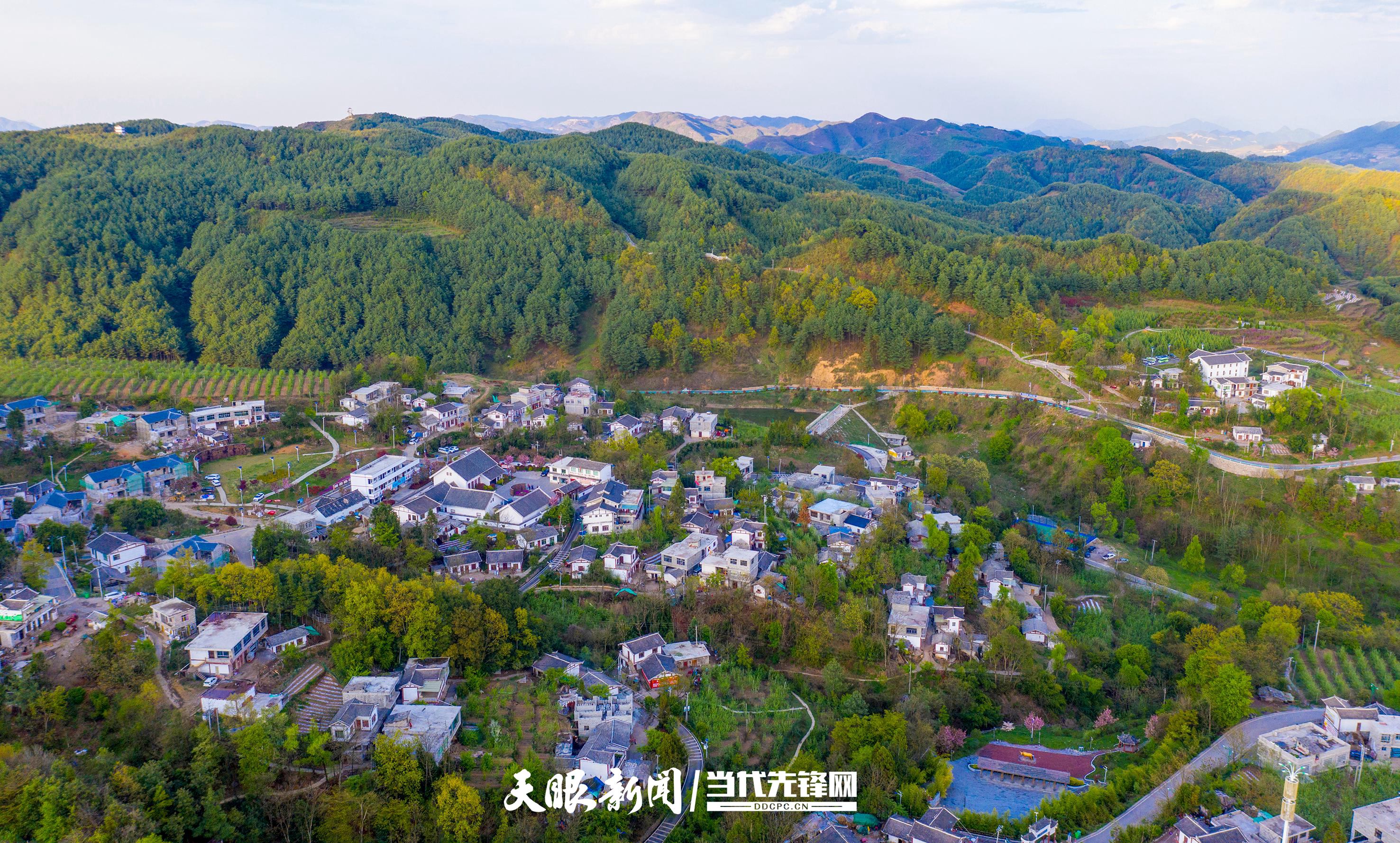 这里的空气罐头真香甜