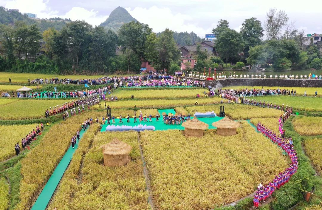 丹寨县龙泉镇:"蝶变"展新颜 奋进新时代