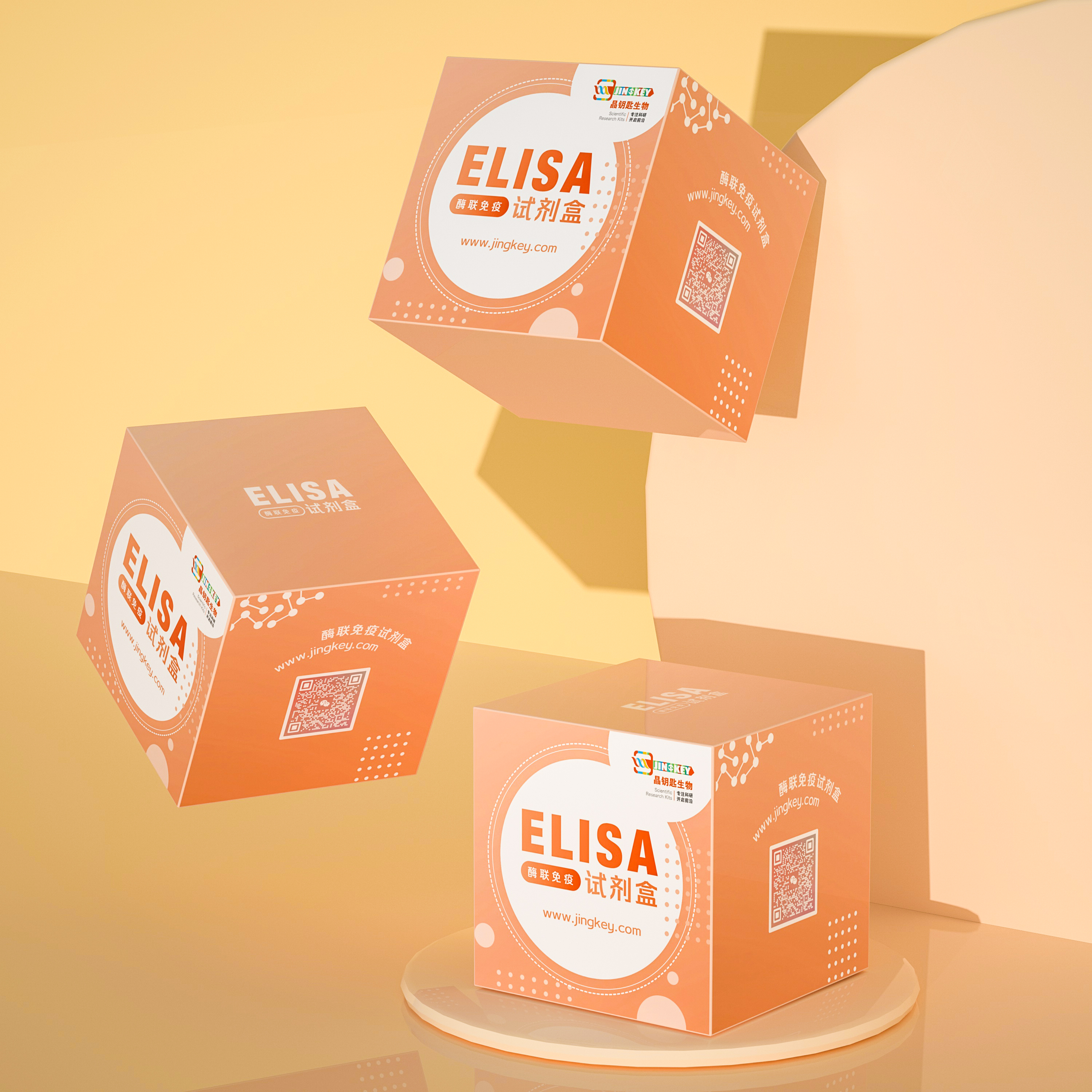 犬基质金属蛋白酶13(mmp-13)elisa试剂盒