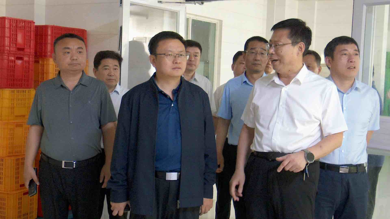 聊城莘县张云生调研校园安全工作