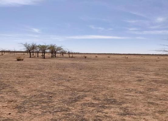 帮帮公益邀您一起加入,3060碳中和森林认养计划!