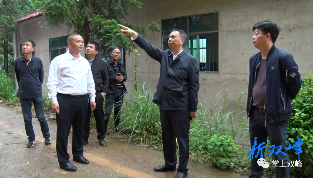 彭石清到杏子铺镇督查指导山体滑坡处置工作