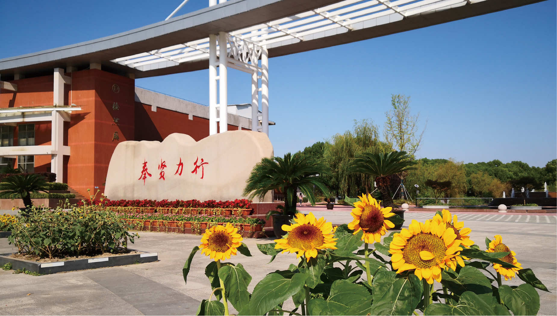 上海市奉贤中学:百年风华孕育桃李芬芳,时不待我接续立德树人