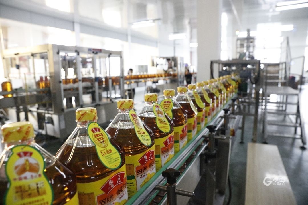 我是民营企业家|孙东伟:小花生撑起大产业,让"红胖子"变为"金豆子"