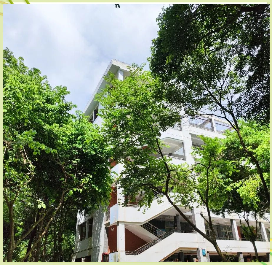 南宁二中金秋校园之美与国际部招生资讯