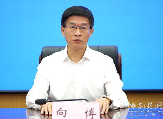 黄冈市委政法委负责日常工作副书记向博:打造公平透明,可预期的法治化