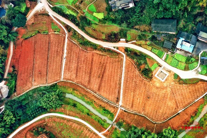 金桥镇:建成400亩高标准农田