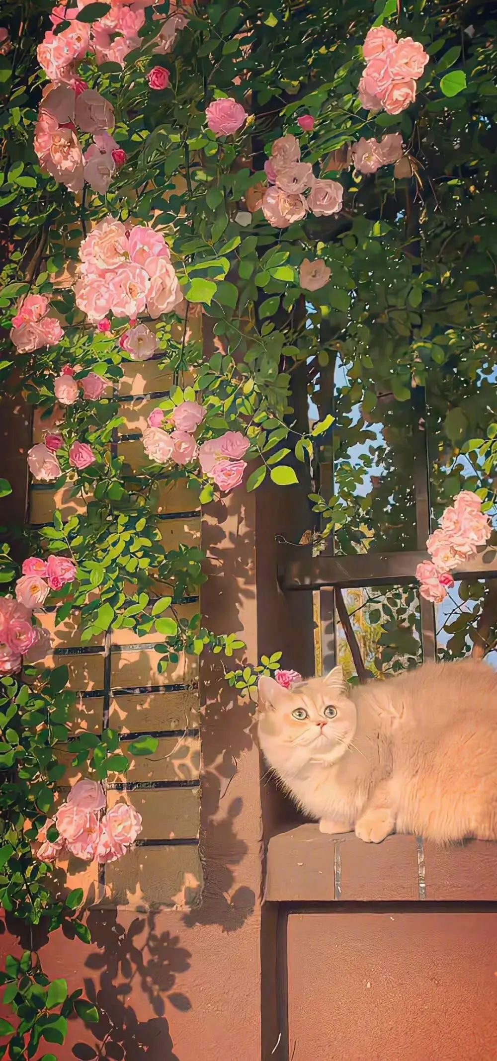 氛围感满满的梦幻高级ins风壁纸背景图精选