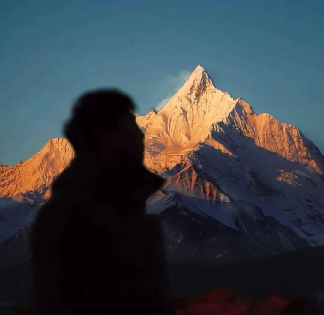 微信头像2024年精选款:女生独特风采与好运寓意并行