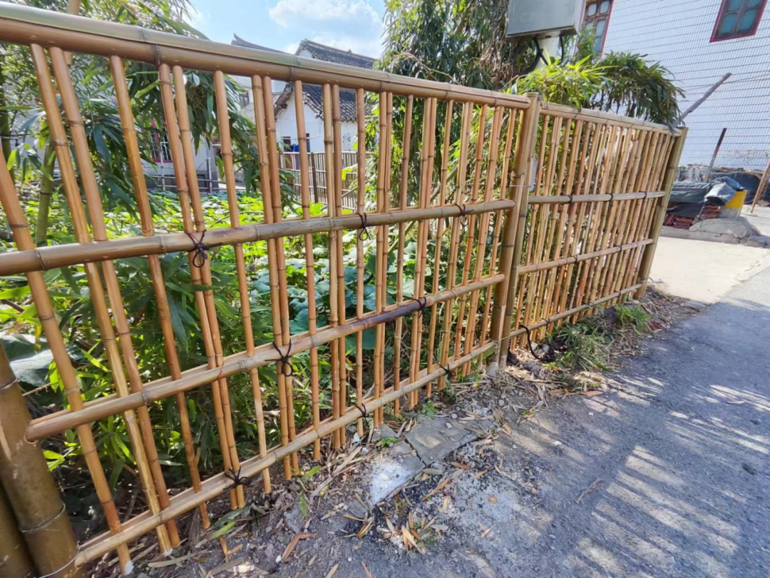 一排排小矮墙,一排排竹篱笆,原来村头,路口边杂乱无章的杂草地,变成了
